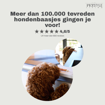 Petstyle Living - Gedrehte Stäbchen mit Huhn 12,5 cm - 30 Stück