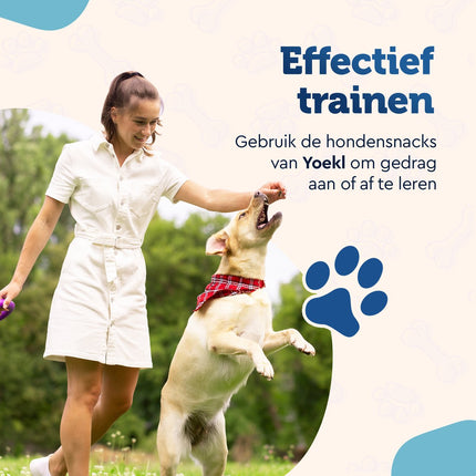 YOEKL - Kausticks mit Hühnchen, 30 Stück